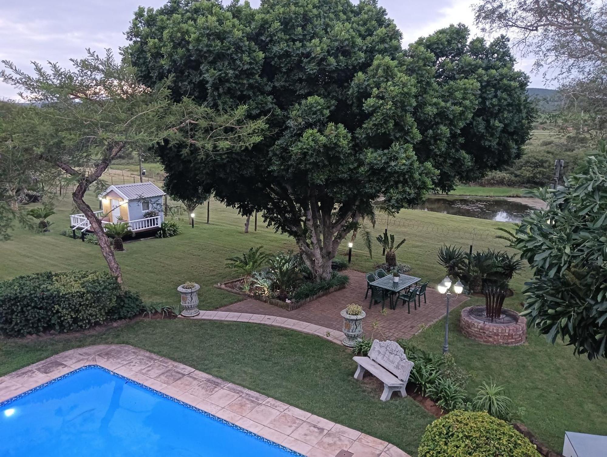 לינה וארוחת בוקר Uitenhage Little Tree Loft 2 מראה חיצוני תמונה